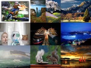 klicke hier, um die Datei herunterzuladen Tolle Bilder