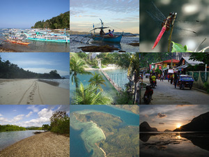 klicke hier, um die Datei herunterzuladen Palawan 1