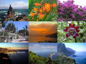 klicke hier, um die Datei herunterzuladen Madeira