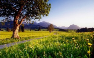 Zauber der Natur - ein weiterer Teil