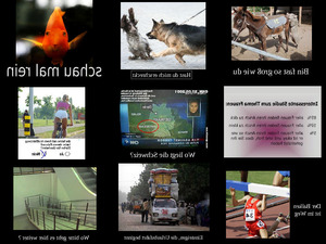 klicke hier, um die Datei herunterzuladen nur Bilder5