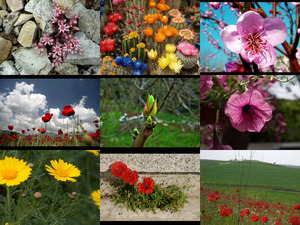 beautiful spring in greece