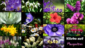 klicke hier, um die Datei herunterzuladen Blumen erkennen