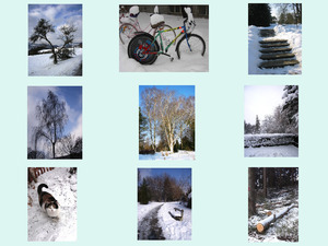 Winterbilder