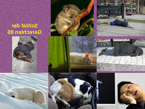 klicke hier, um die Datei herunterzuladen Schlaf der Gerechten 85