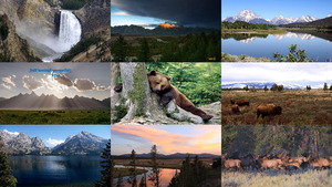 klicke hier, um die Datei herunterzuladen Yellowstone National Park
