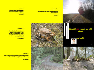 klicke hier, um die Datei herunterzuladen B101 The most beautiful book