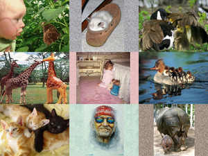 klicke hier, um die Datei herunterzuladen What a Wonderful World