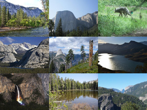 klicke hier, um die Datei herunterzuladen Yosemite