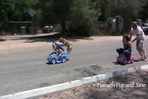 Dog vs Girl car race