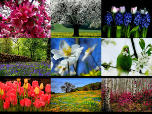 klicke hier, um die Datei herunterzuladen spring is here 2