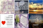 . auf www.funpot.net