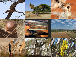 klicke hier, um die Datei herunterzuladen Kalahari 3