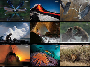 Natgeo Superbes Photoscec