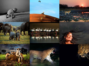 klicke hier, um die Datei herunterzuladen photographerheinrichvandenberg-EO