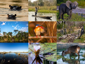Okavango - Teil 2