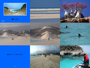 z Socotra Island- Christine