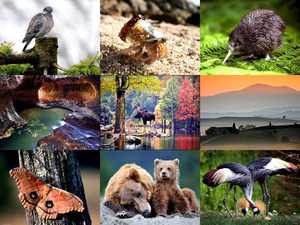 klicke hier, um die Datei herunterzuladen schöner photomix-1