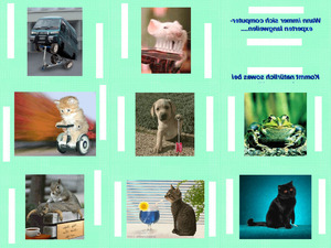 klicke hier, um die Datei herunterzuladen Bewegte Bilder