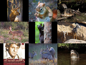 klicke hier, um die Datei herunterzuladen Bilder-Galerie vom 10032013 Tiere 1