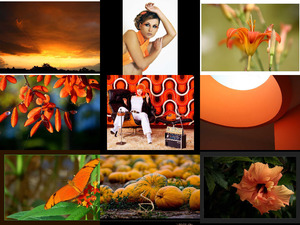 klicke hier, um die Datei herunterzuladen Orange 41
