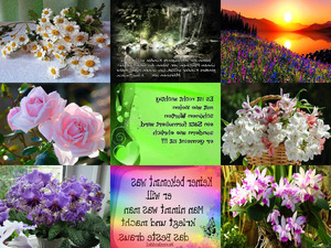 klicke hier, um die Datei herunterzuladen Sprüche und Blumen