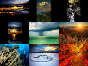 klicke hier, um die Datei herunterzuladen do not throw this beauty of nature