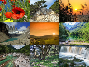 klicke hier, um die Datei herunterzuladen Beautiful Nature 96