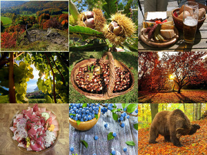 klicke hier, um die Datei herunterzuladen Herbstzeit 10