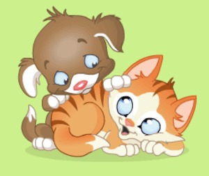puppy cat