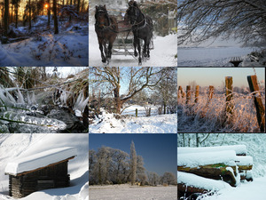 klicke hier, um die Datei herunterzuladen Winter 9