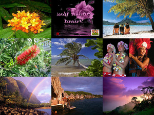 klicke hier, um die Datei herunterzuladen Tahiti