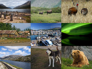 klicke hier, um die Datei herunterzuladen Alaska 3