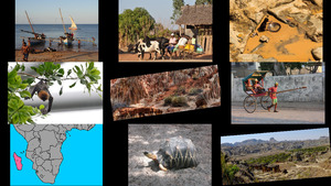 klicke hier, um die Datei herunterzuladen Madagaskar 1