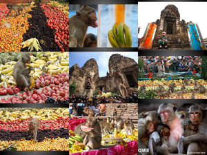 klicke hier, um die Datei herunterzuladen monkey buffet festival - Affen
