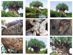 klicke hier, um die Datei herunterzuladen Ein toller Baum