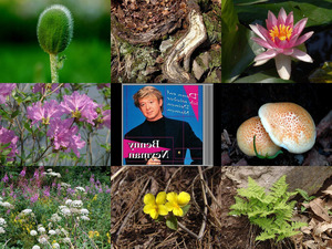 Natur pur - sehr schne Naturaufnahmen