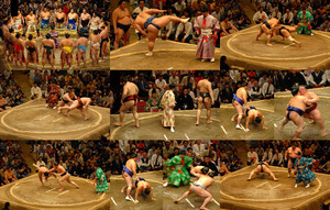 japanesesumo