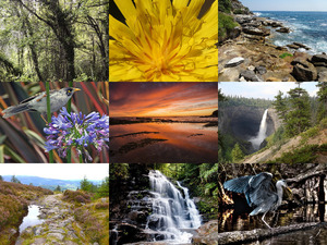 klicke hier, um die Datei herunterzuladen Beautiful Nature 98