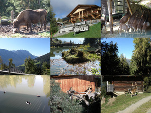 Idylischer Wildpark-Assling