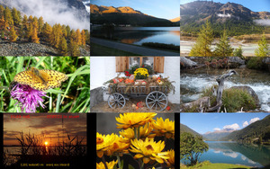 klicke hier, um die Datei herunterzuladen Herbst 2012