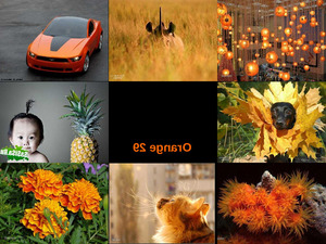 klicke hier, um die Datei herunterzuladen Orange 29