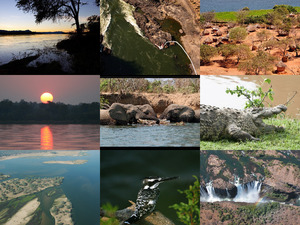 klicke hier, um die Datei herunterzuladen Zambezi