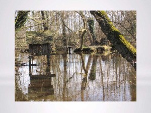 Fischerhude-Natur pur