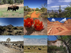 klicke hier, um die Datei herunterzuladen Arizona 3