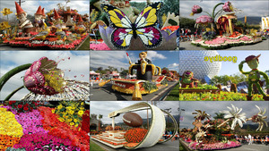 klicke hier, um die Datei herunterzuladen Blumenfestival in Kalifornien