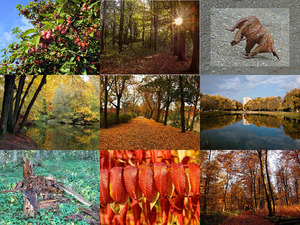 Herbst 5 - Traumhafte Bilder zum Herbst