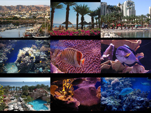 klicke hier, um die Datei herunterzuladen Eilat- Miki