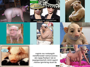 Schweinegrippe Sound klicken Michel 1 85 MB 5 5 2012