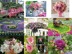 klicke hier, um die Datei herunterzuladen FLORES Y MASCOTAS 7-0775